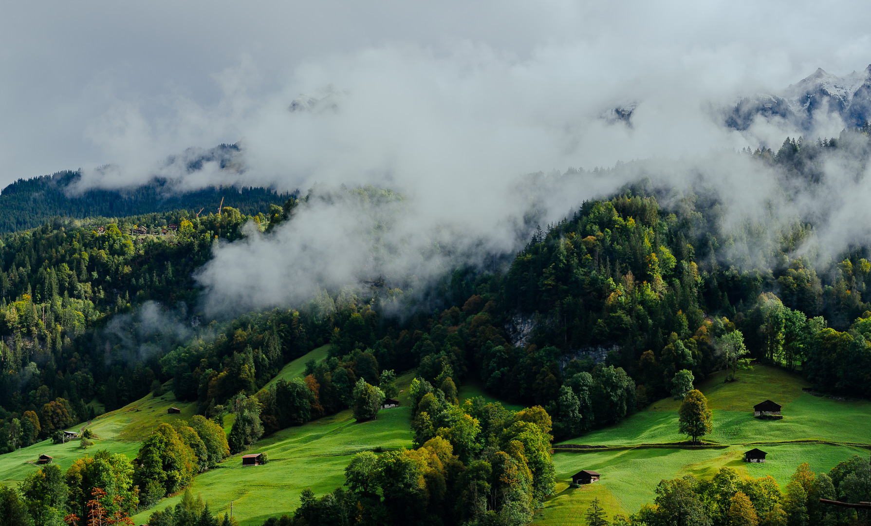 Alpine Scene by Adam Lack