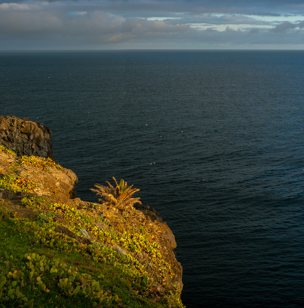 Atlantic Island by Adam Lack