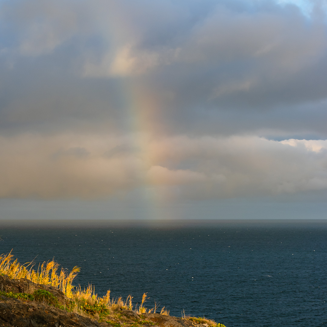 Atlantic Rainbow by Adam Lack