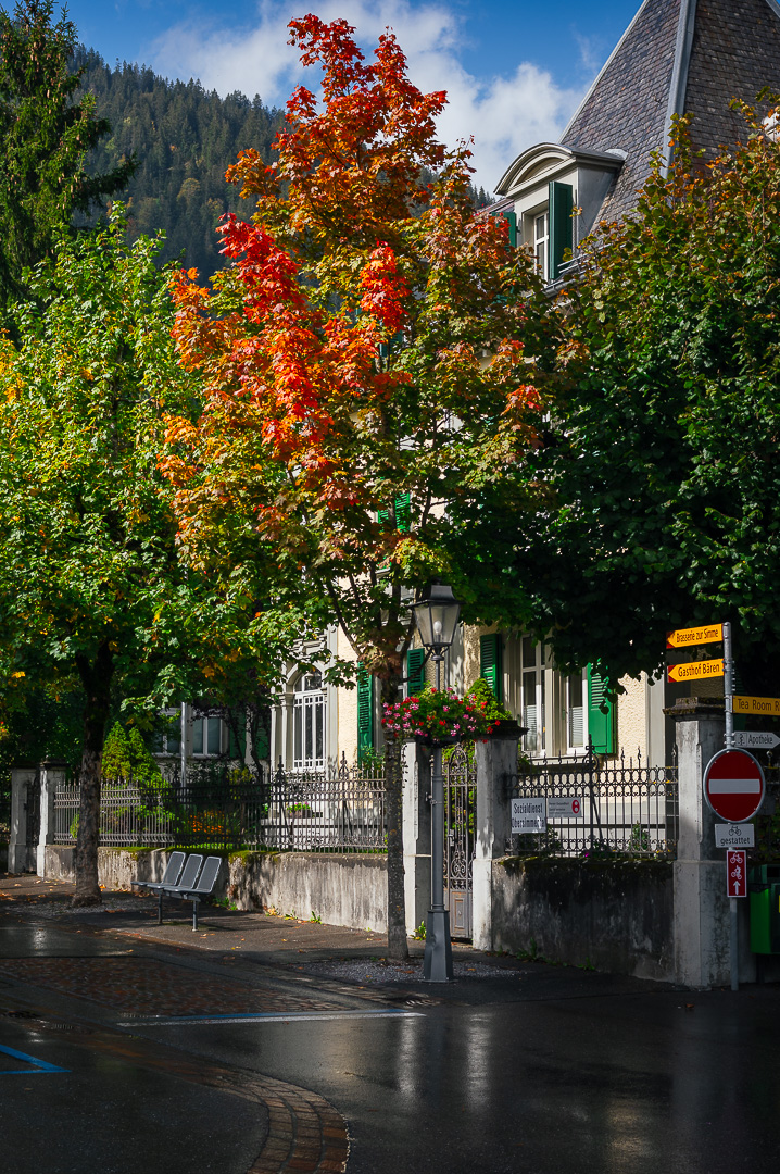 Autumn Alpine Town by Adam Lack