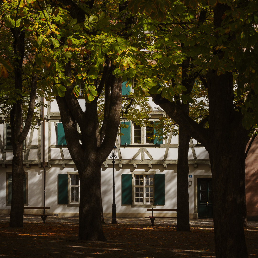 Basel Building by Adam Lack