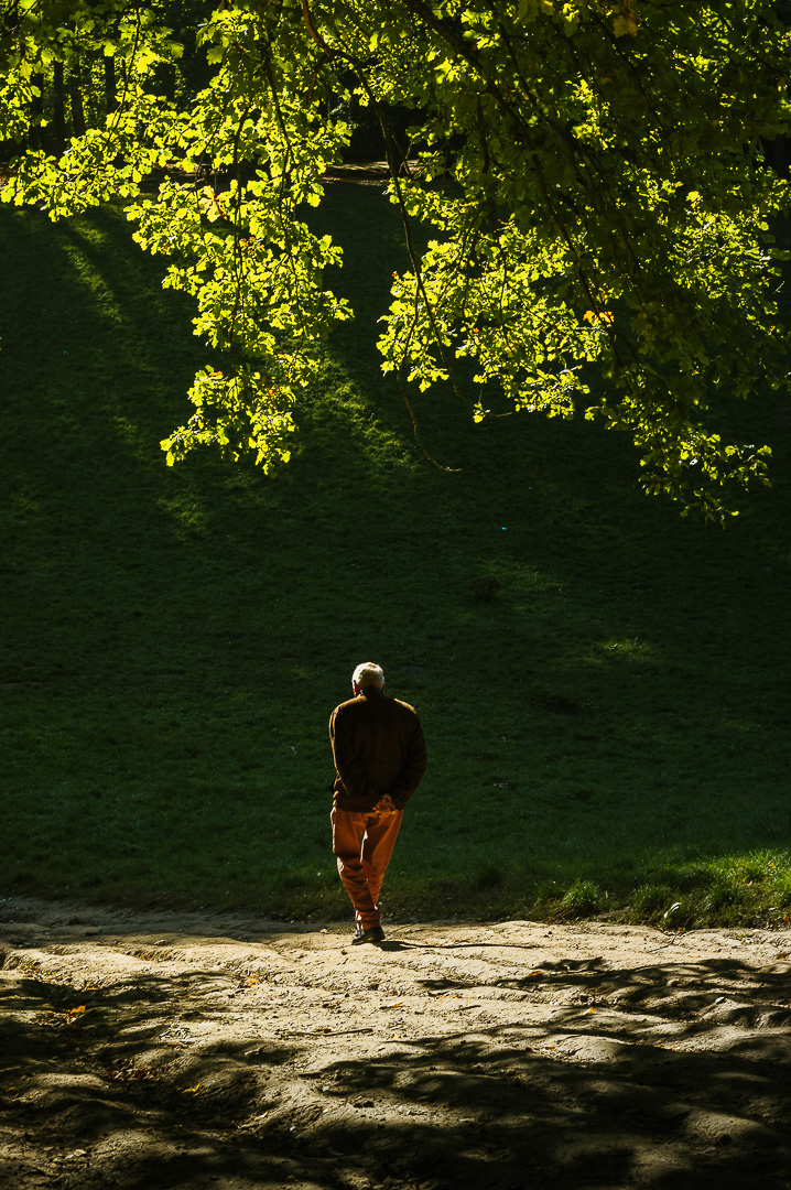 Belgian Morning Walk by Adam Lack