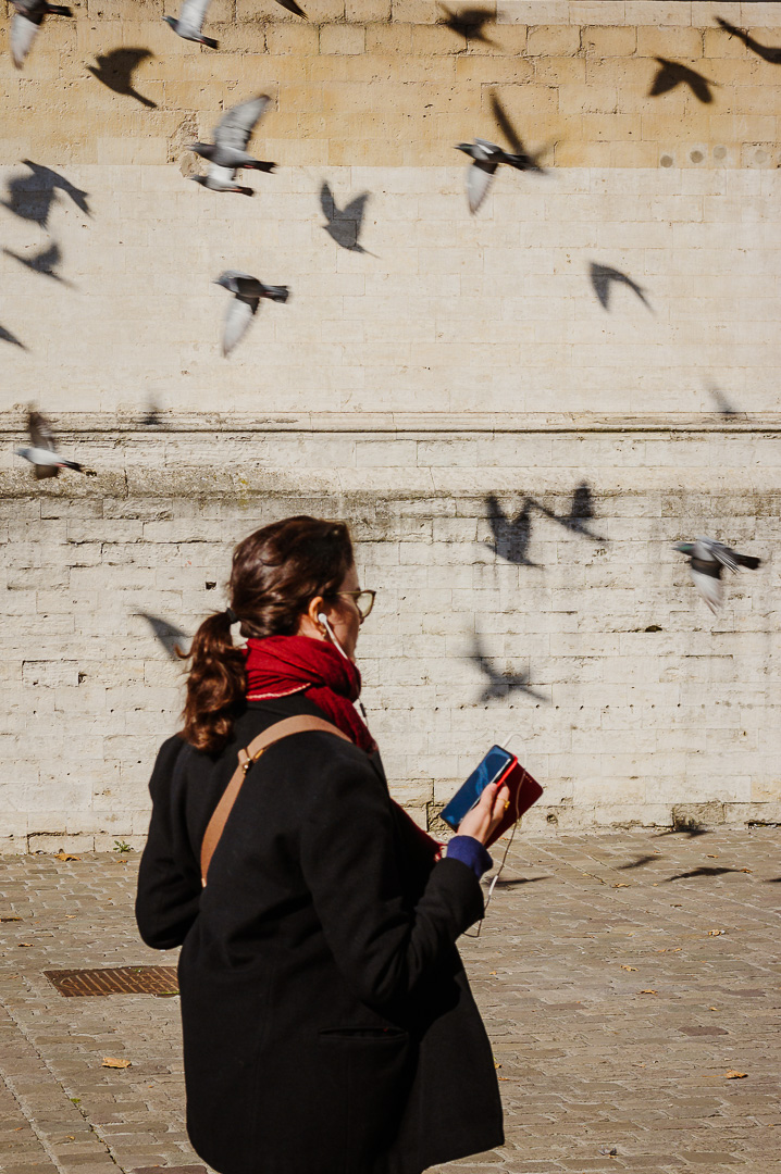 Brussels Birds by Adam Lack