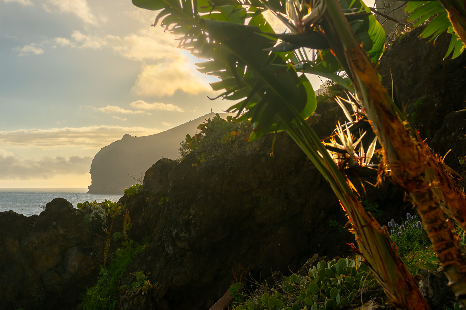 Canico Paradise by Adam Lack