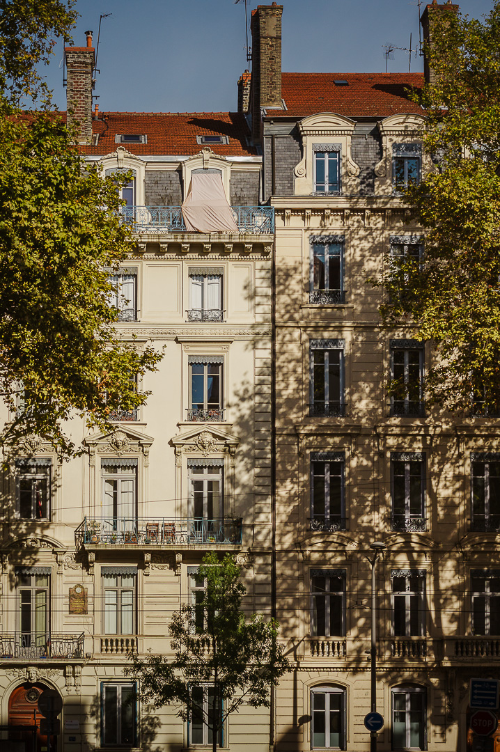 Dappled Lyon Light by Adam Lack