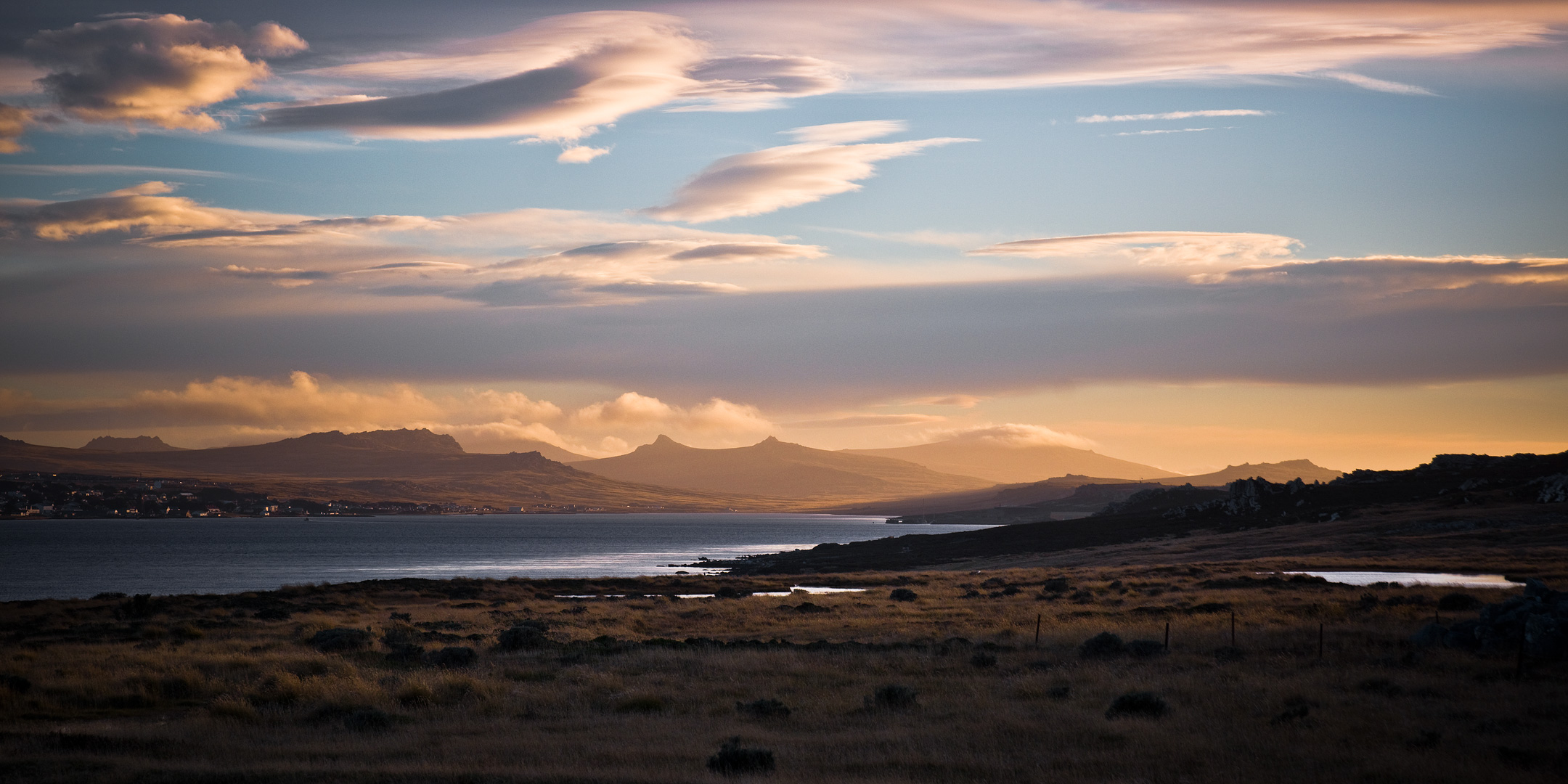 Falklands #16 by Adam Lack