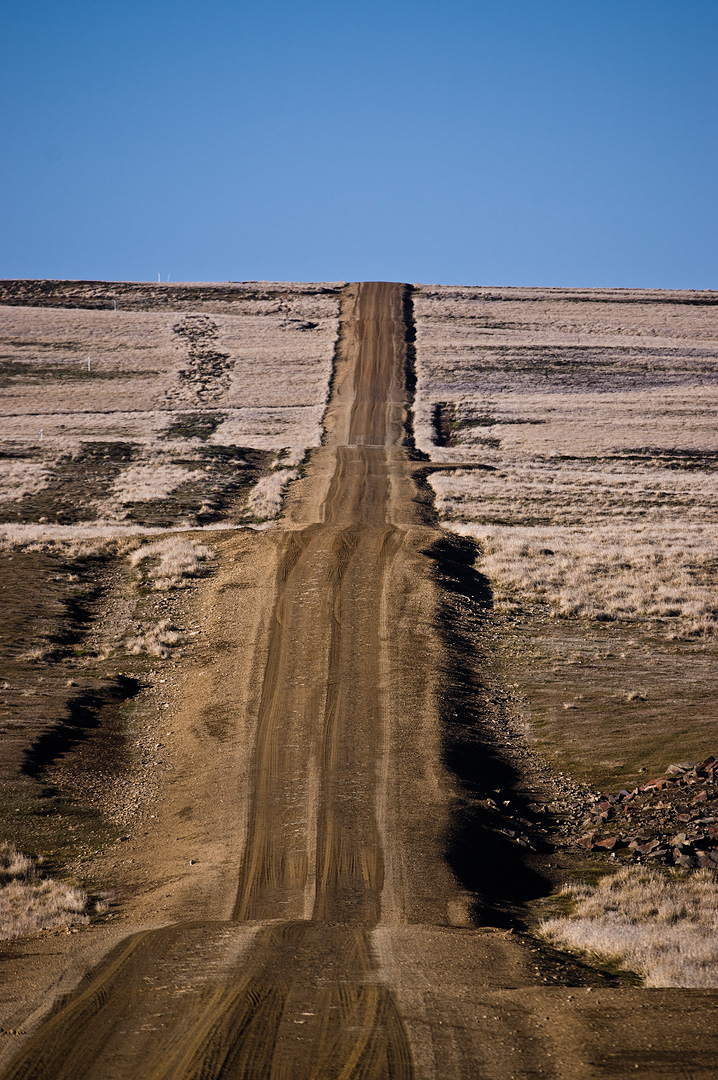 Falklands #31 by Adam Lack