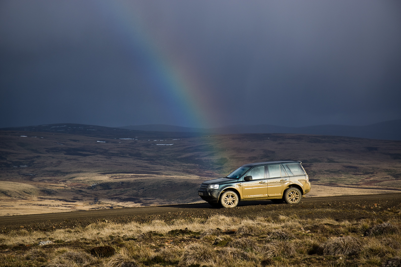 Falklands #35 by Adam Lack