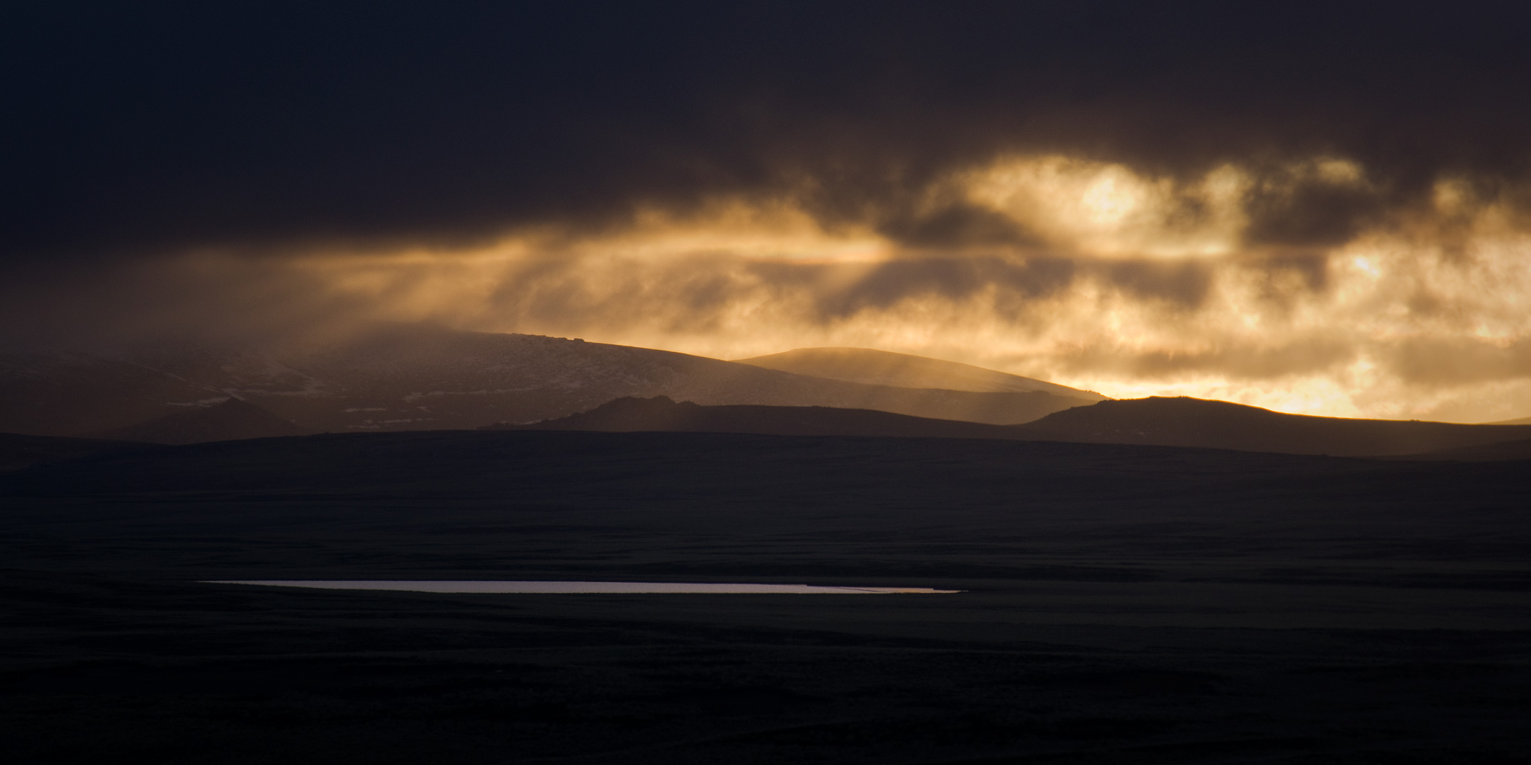 Falklands #36 by Adam Lack