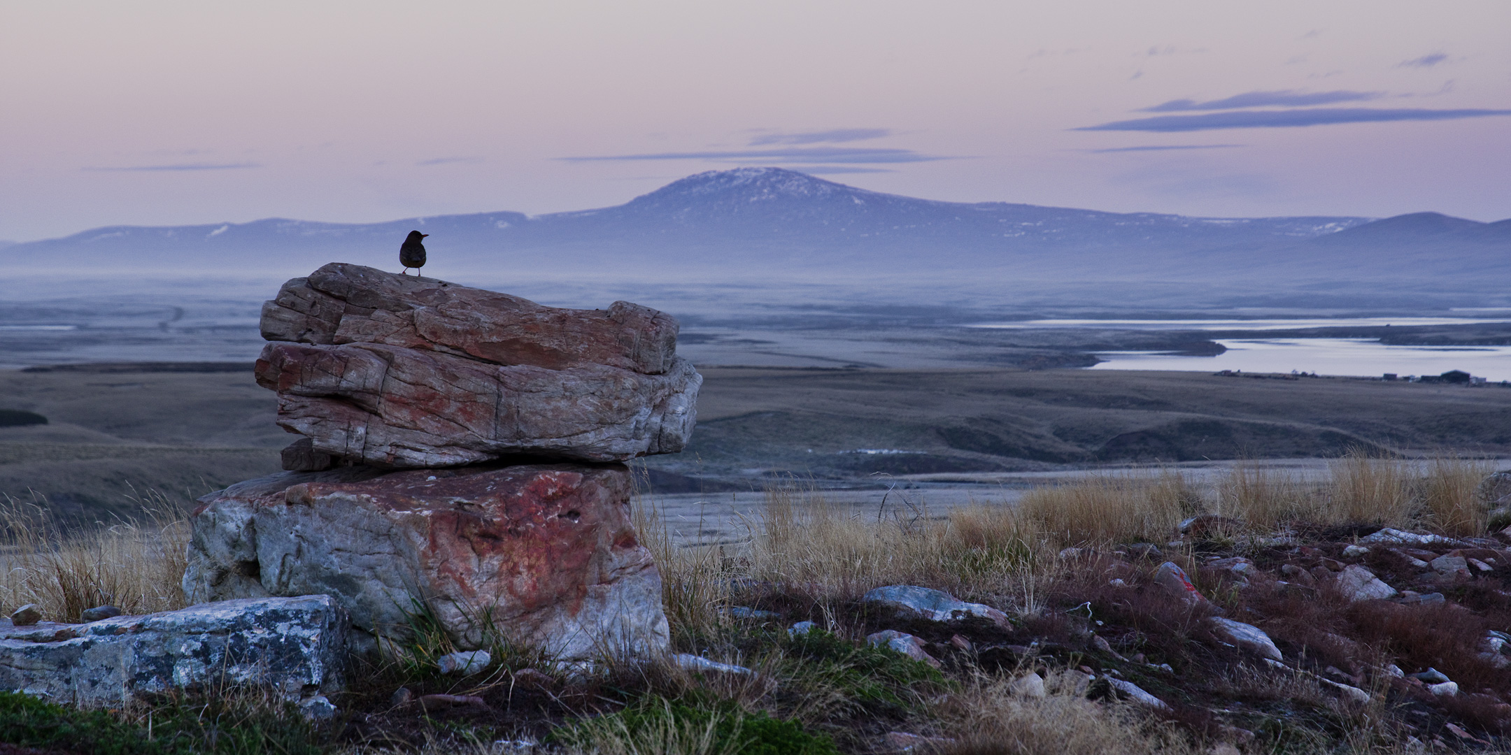 Falklands #37 by Adam Lack