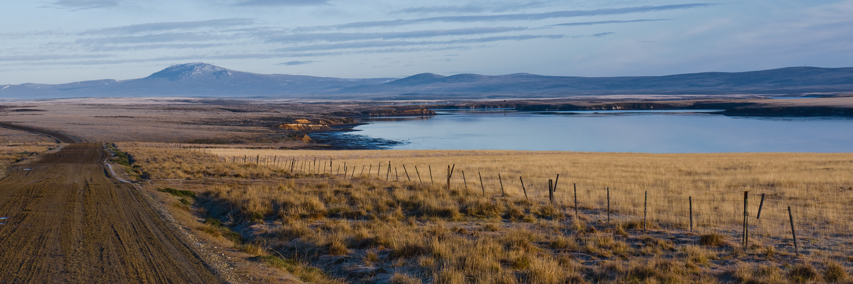 Falklands #38 by Adam Lack
