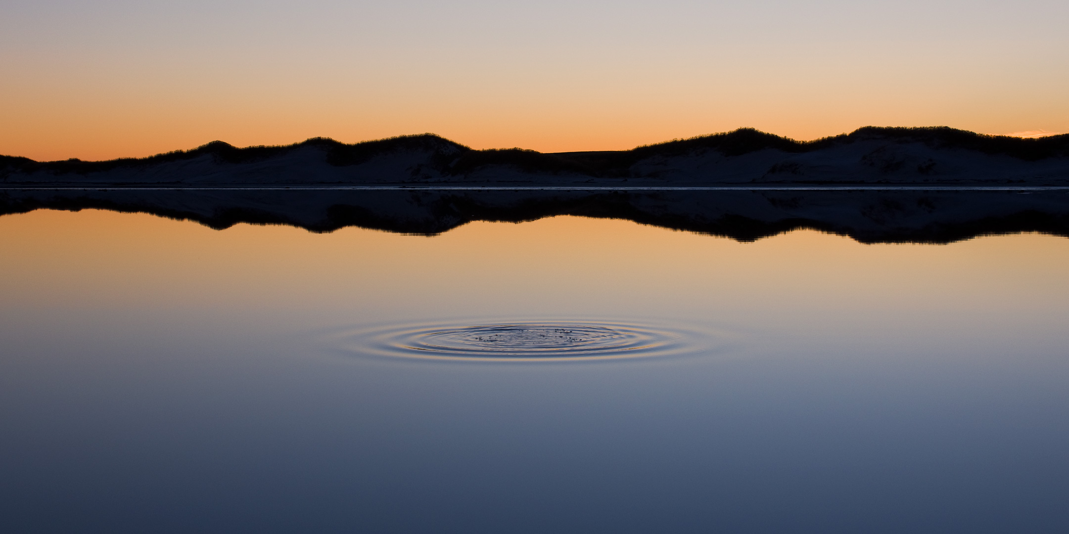 Falklands #39 by Adam Lack