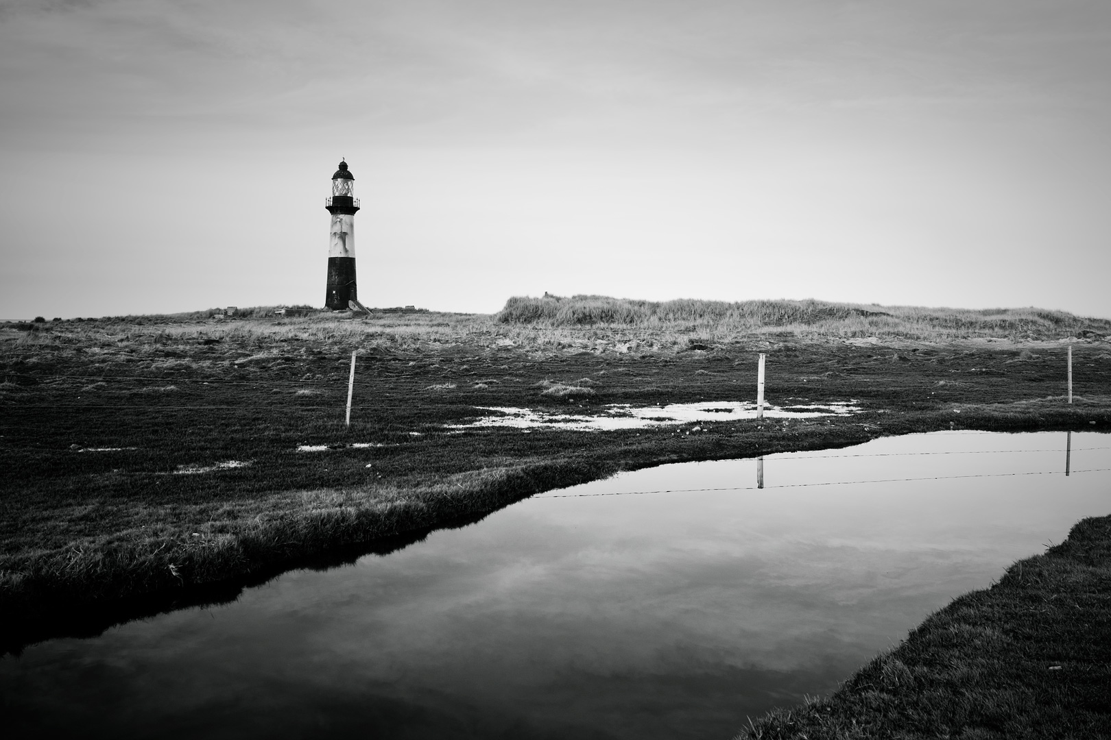 Falklands #40 by Adam Lack