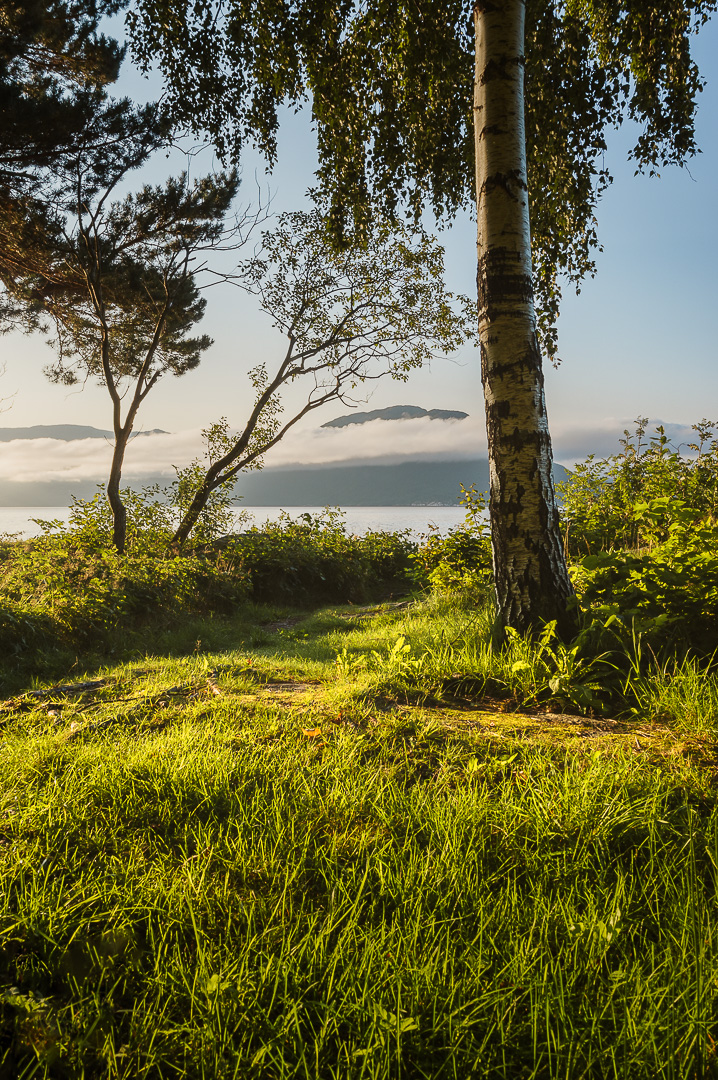 Fjord Morning by Adam Lack