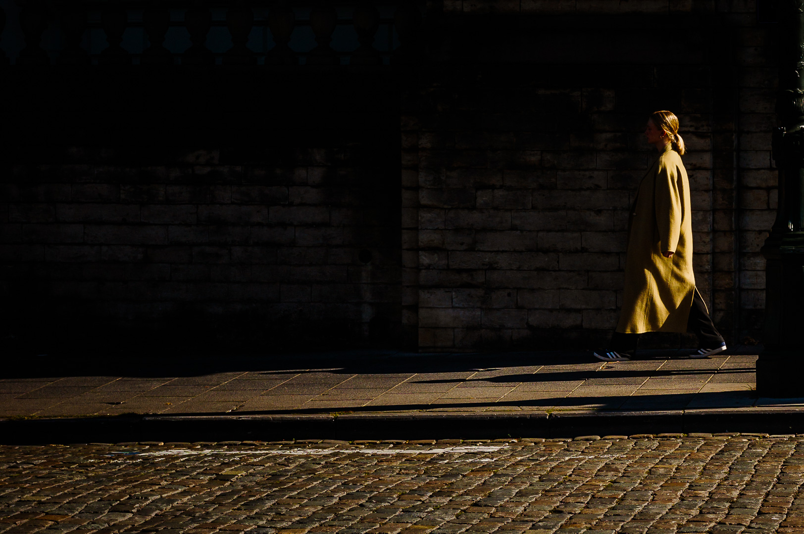 Golden Coat by Adam Lack