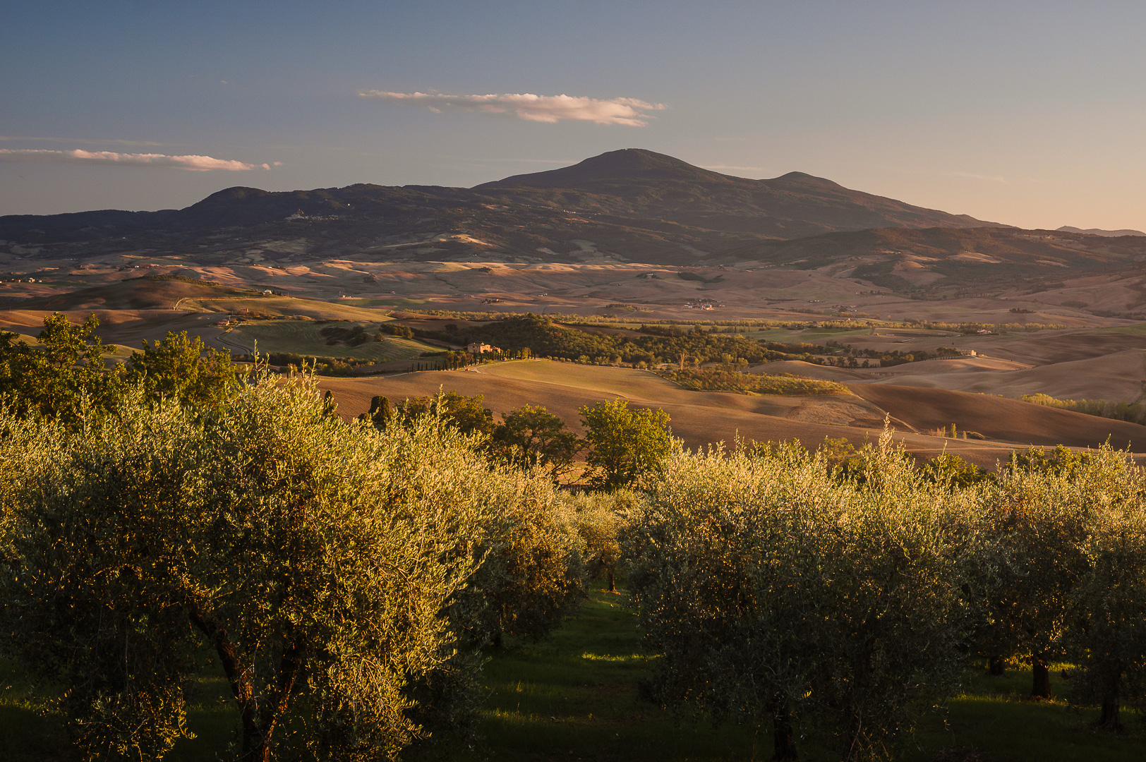 Golden Evening Valley by Adam Lack
