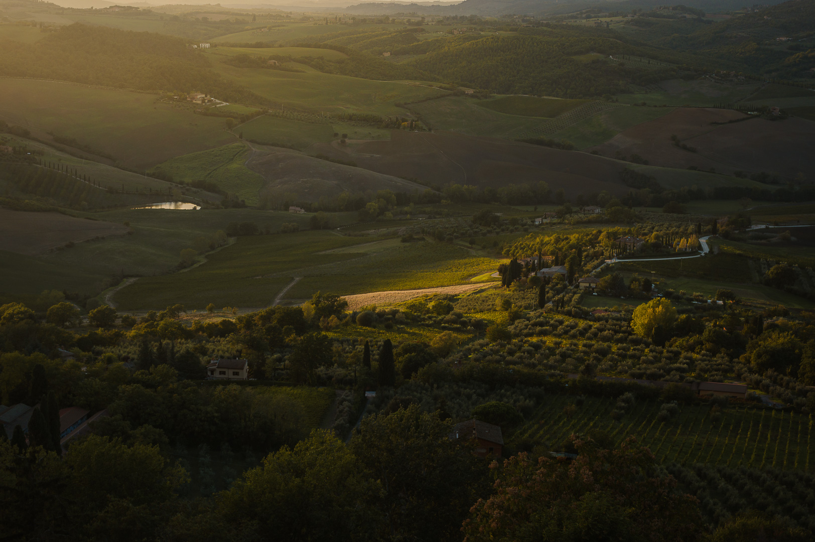Golden Illumination by Adam Lack
