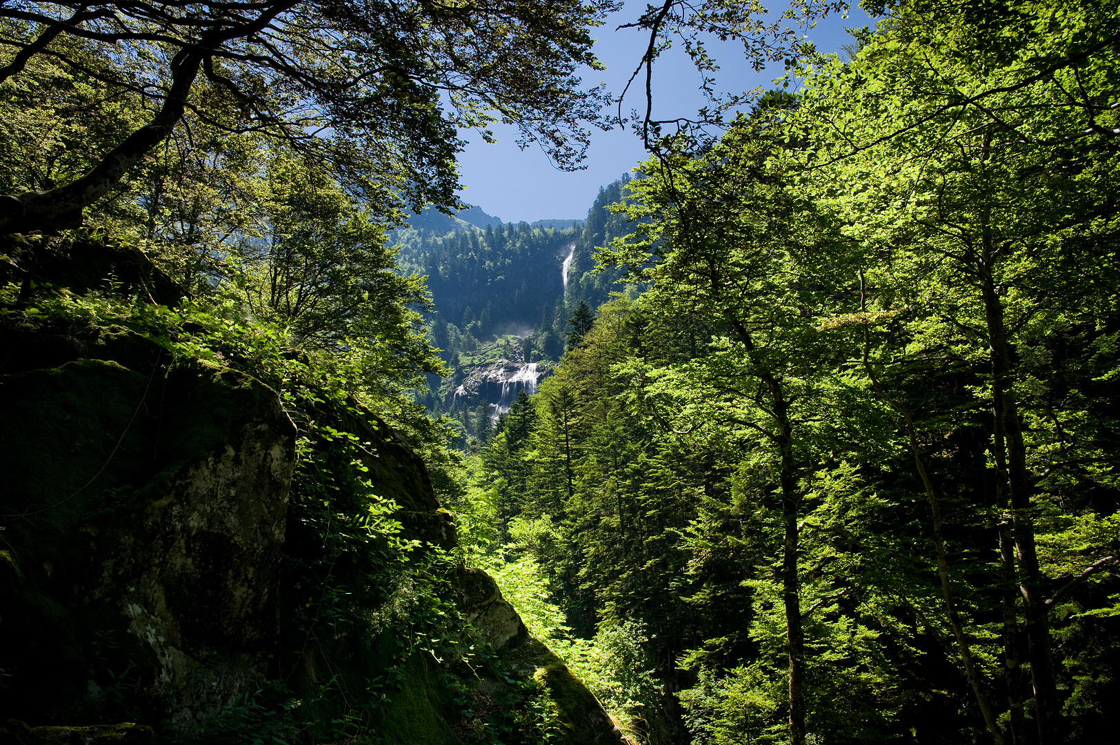 Hidden Cascade by Adam Lack