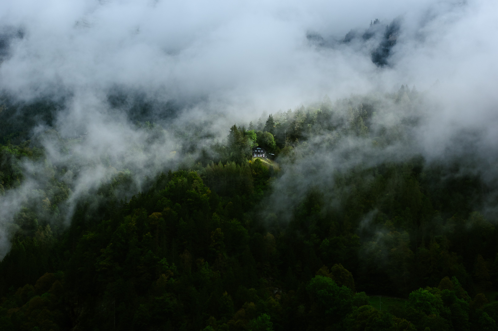 House in the Woods by Adam Lack