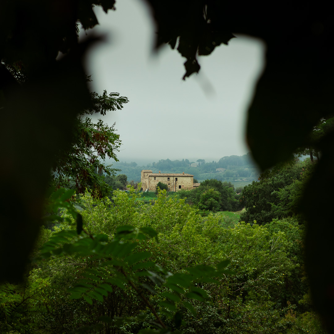 House on a Hill by Adam Lack