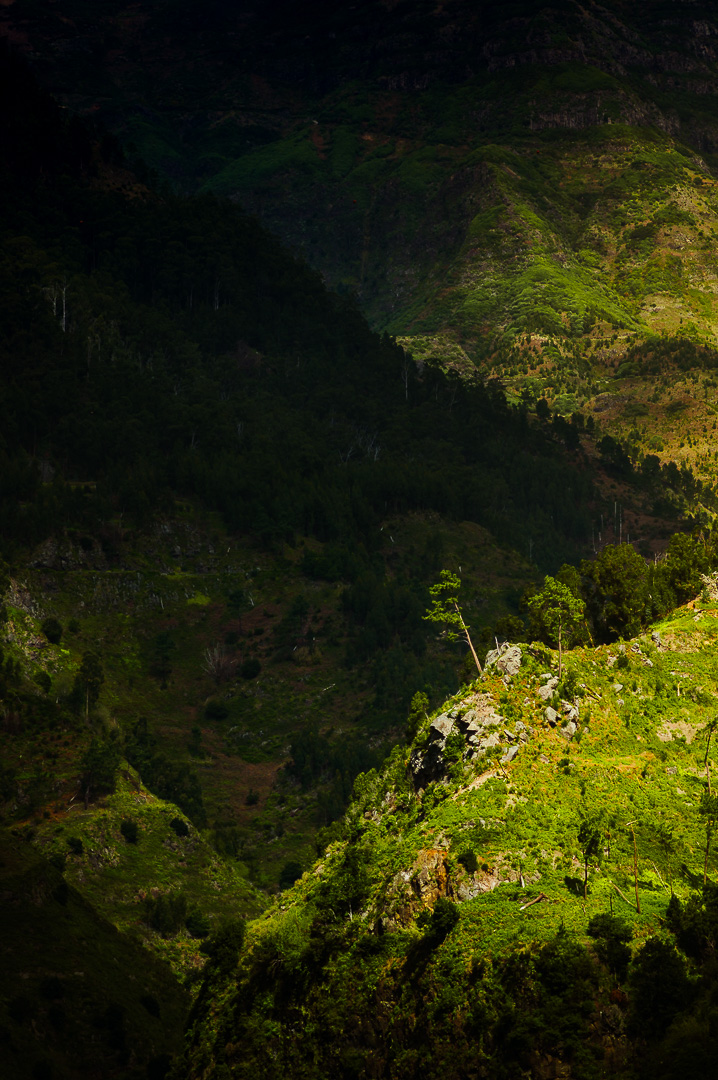Illuminate Madeira IV by Adam Lack