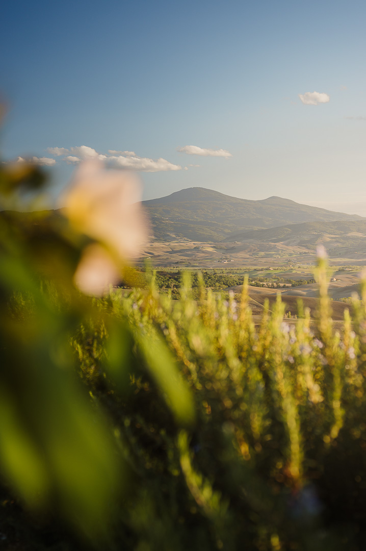 Lavendar View by Adam Lack