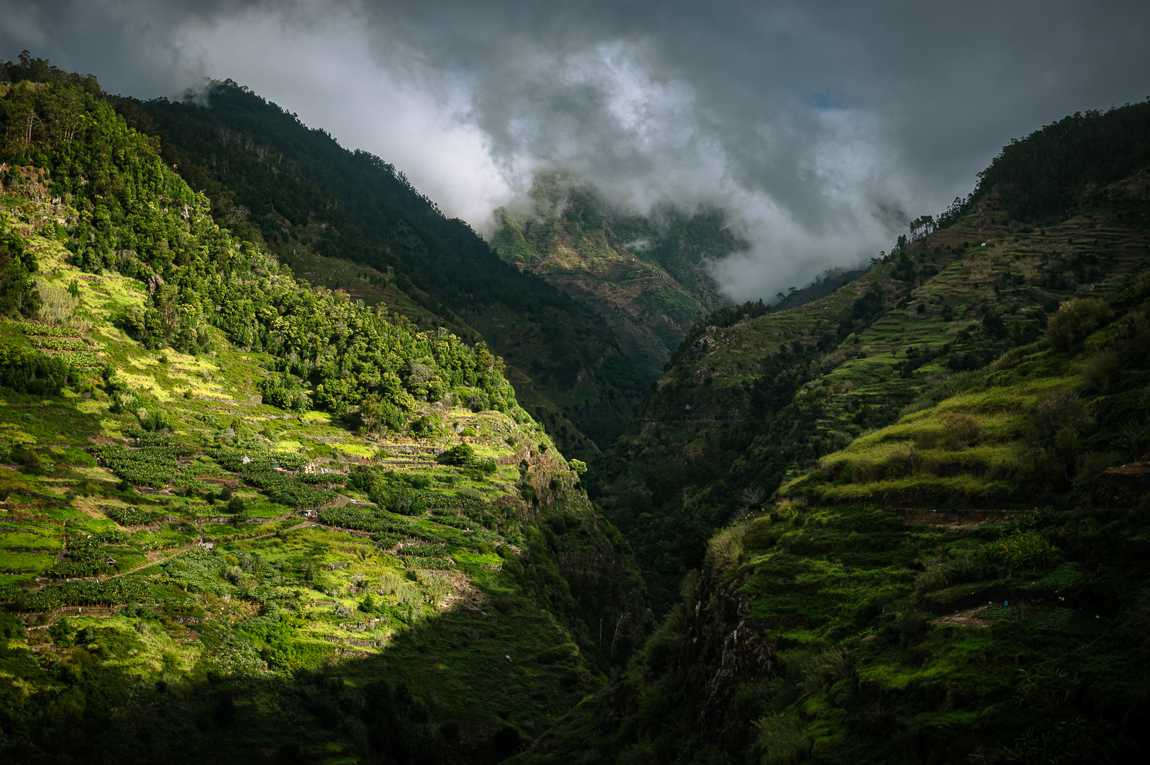 Levada Moinho by Adam Lack