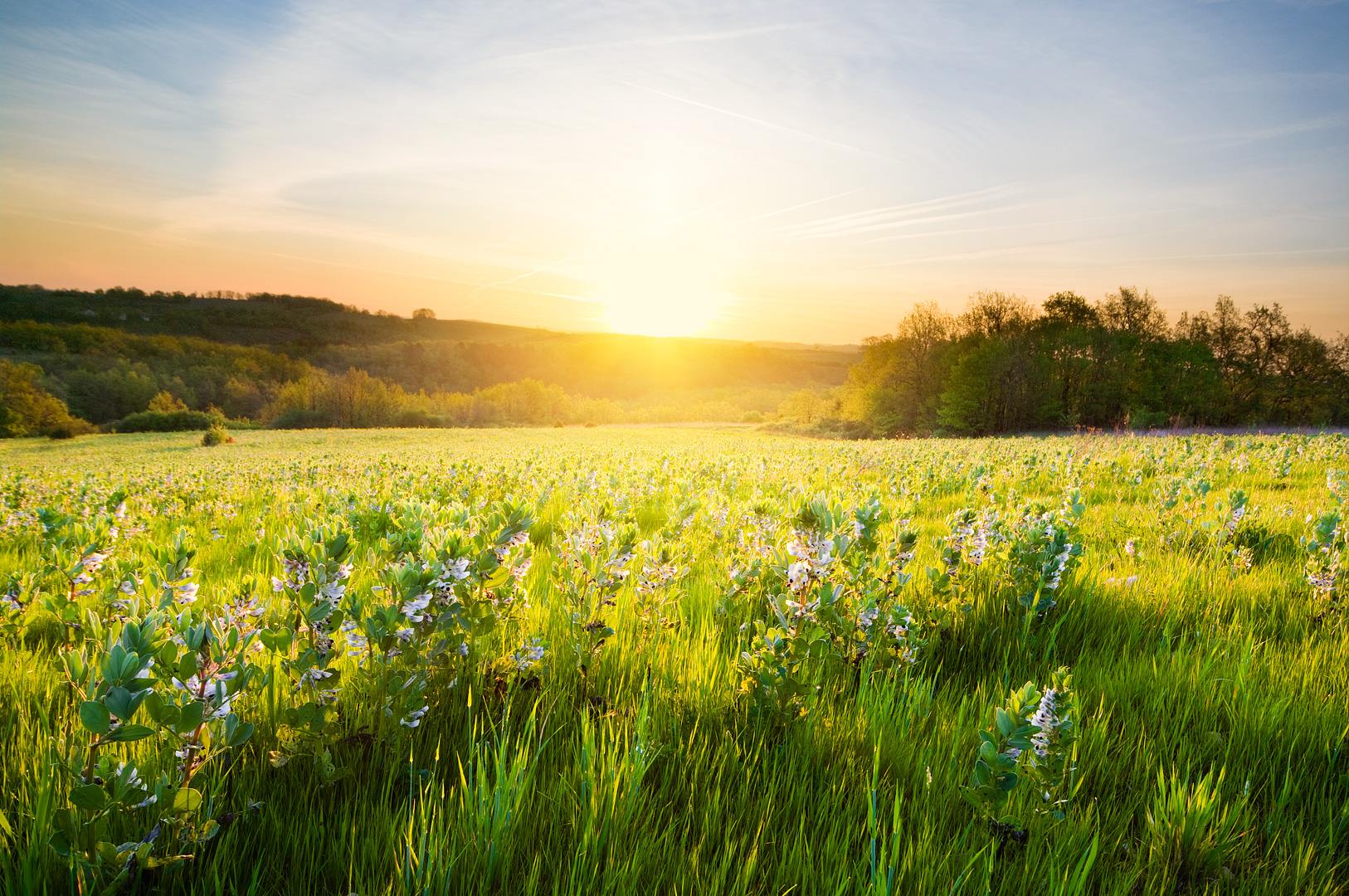 Lever du Soleil by Adam Lack