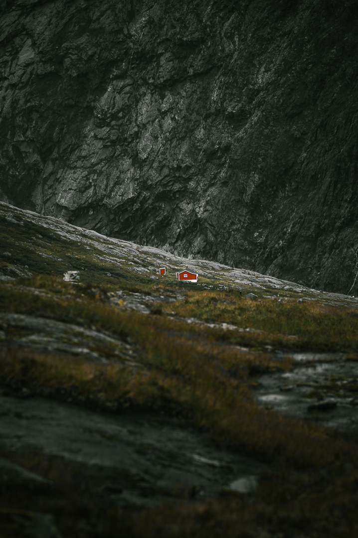 Little Red House by Adam Lack