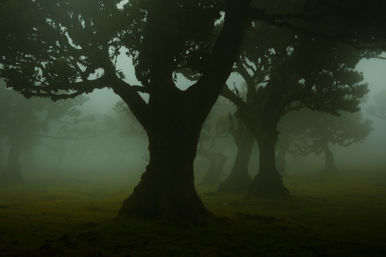 Lost in Fanal by Adam Lack