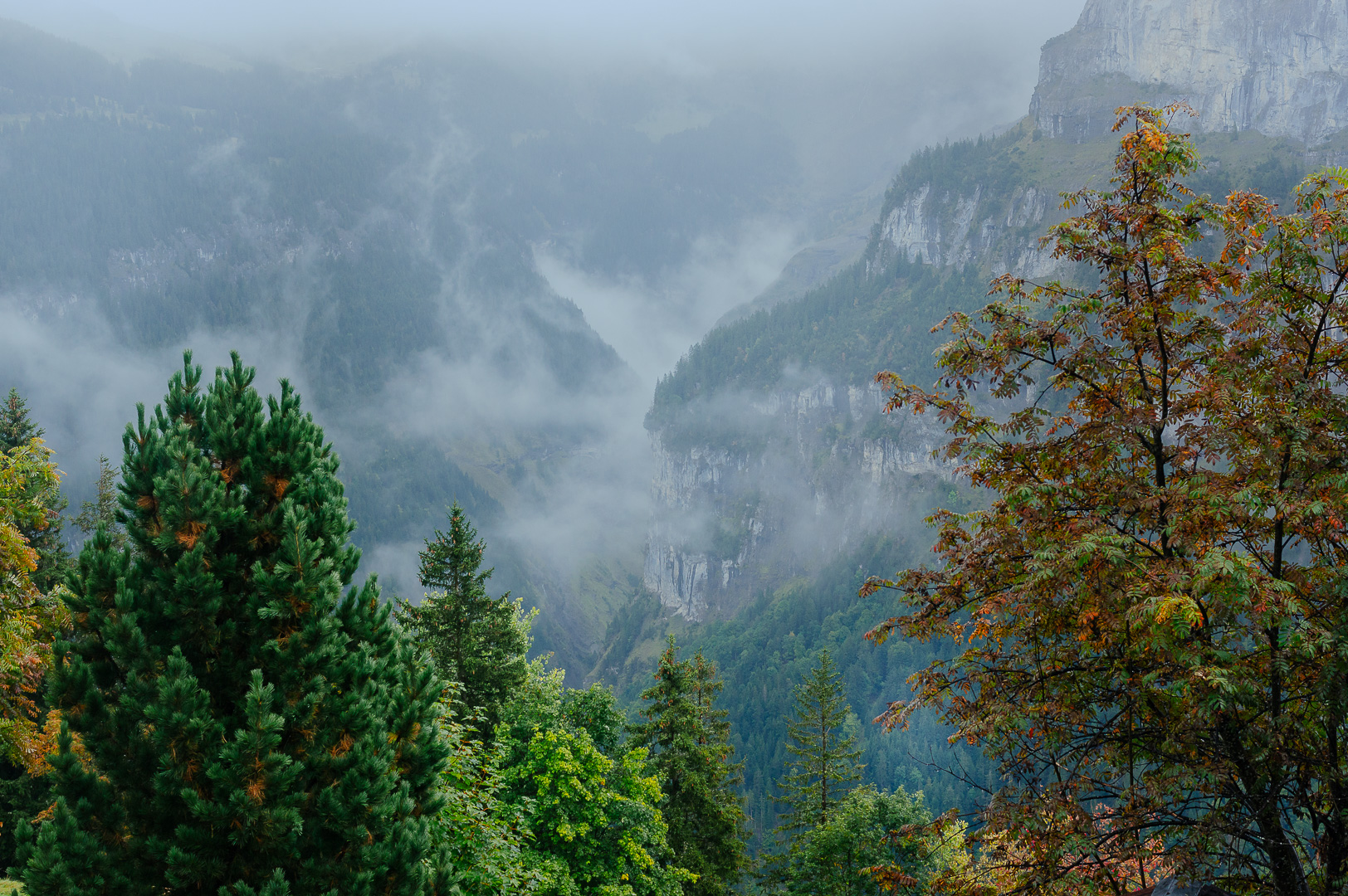 Misty Alps by Adam Lack