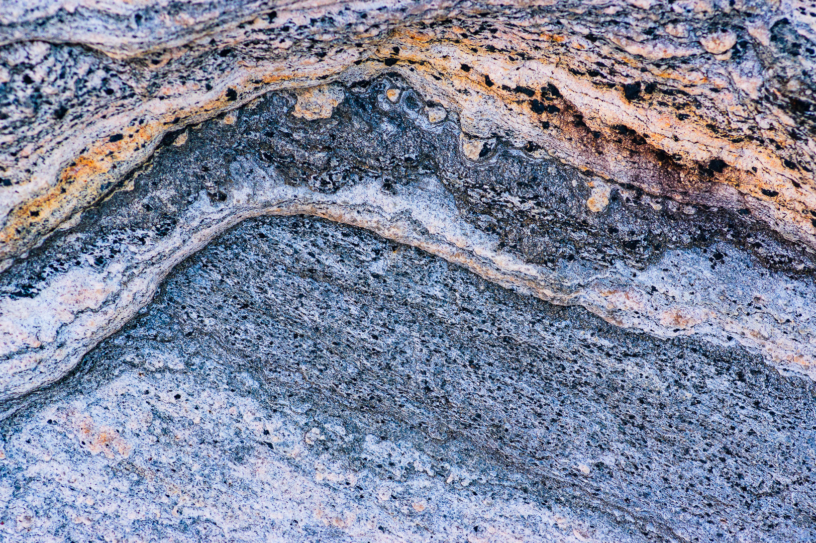 Rock Detail by Adam Lack