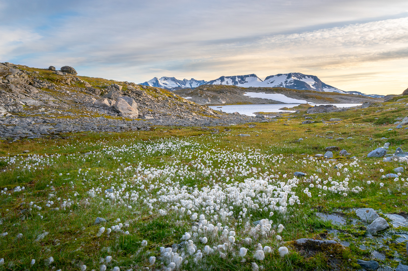 Sognefjellet Evening Landscape by Adam Lack