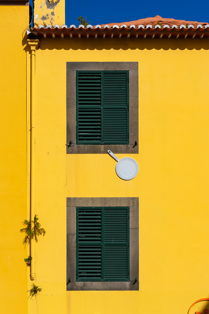 Sunny side out by Adam Lack