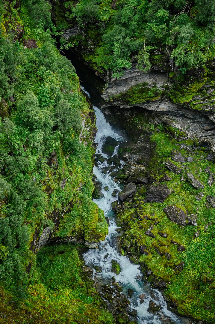 The Green Stream by Adam Lack
