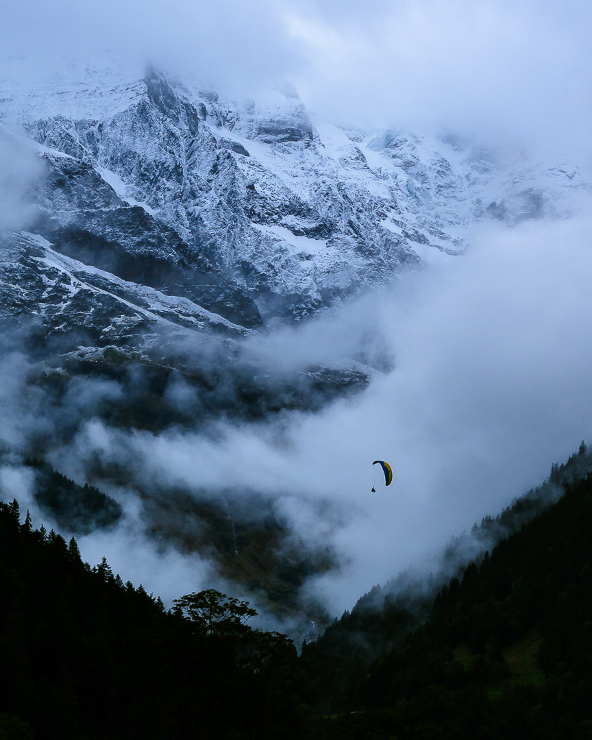 The Paraglider by Adam Lack