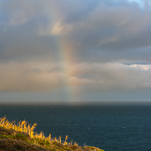 Atlantic Rainbow