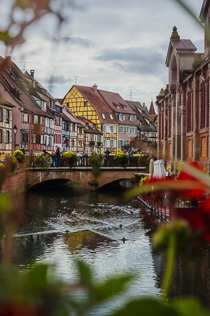 Colmar Colours