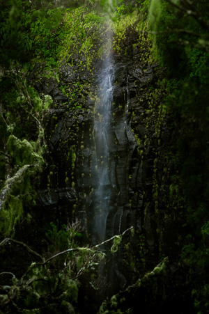 Hidden Waterfall