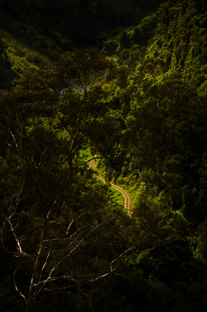 Illuminate Madeira II