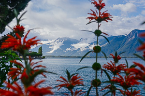 Montreux Morning Mountains