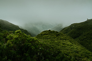 Up in the green hills