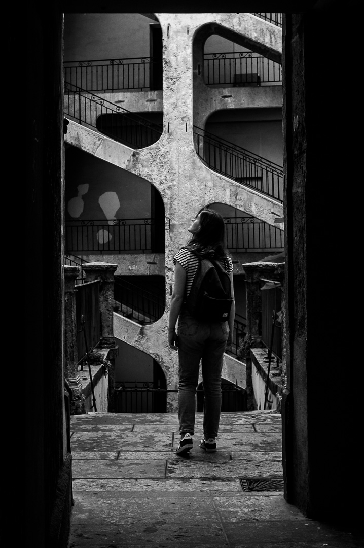 Treboule Surprise by Adam Lack