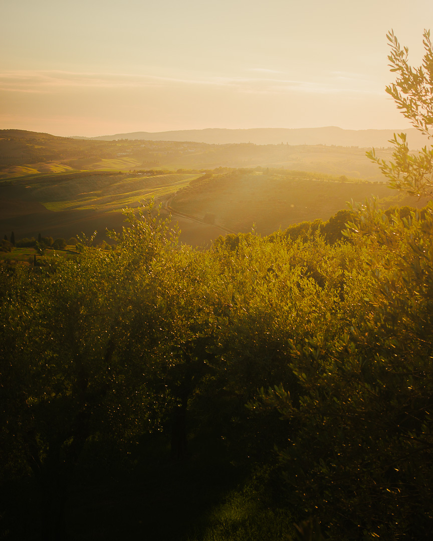 Tuscan Evening Glow by Adam Lack