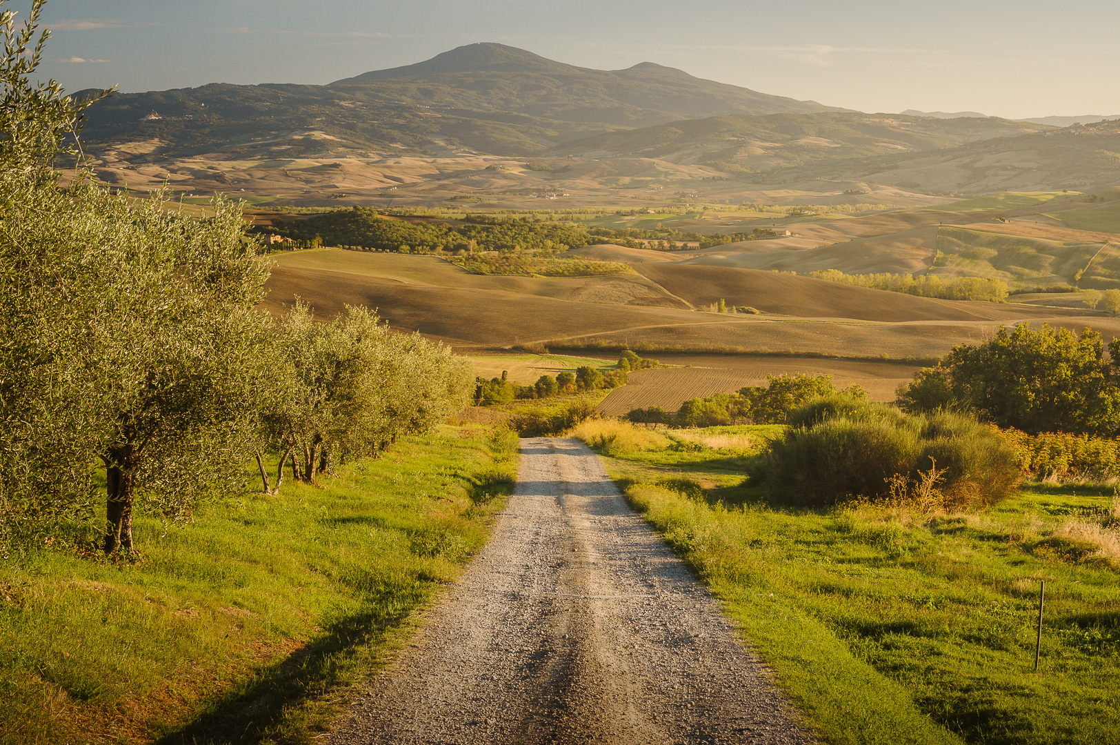 Tuscan Valley View by Adam Lack