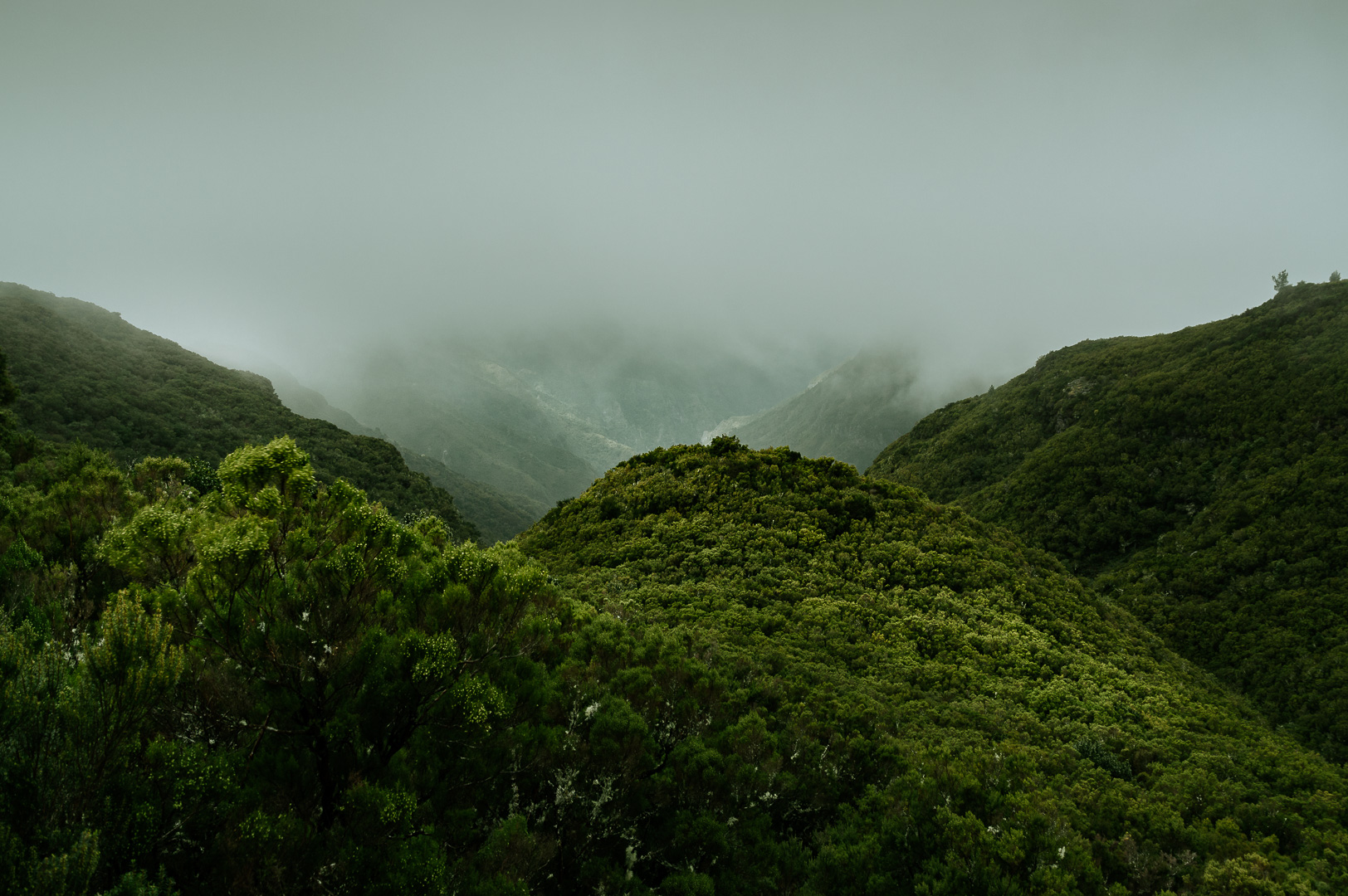 Up in the green hills by Adam Lack