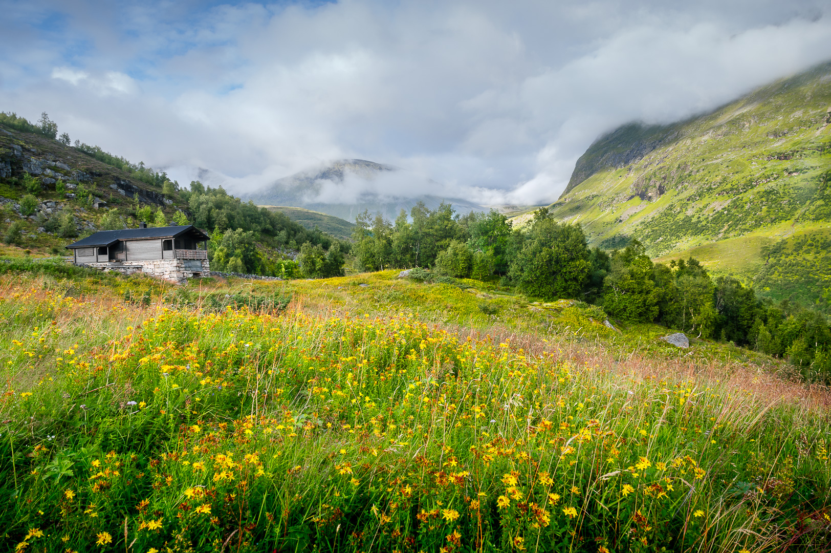 Wildflower Hut by Adam Lack