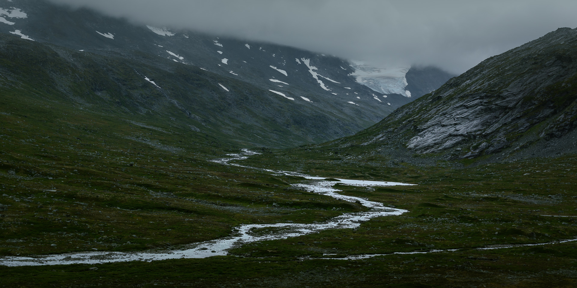 Wildness by Adam Lack