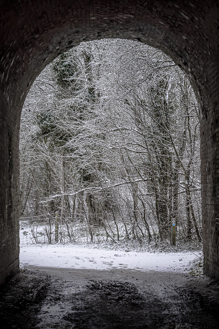 Winter Tunnel by Adam Lack