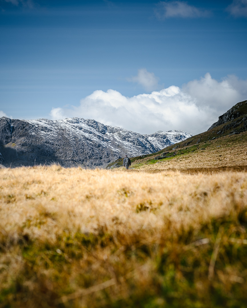 A Lovely Day for a Walk by Adam Lack